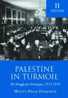 Palestine in Turmoil cover