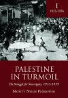 Palestine in Turmoil cover