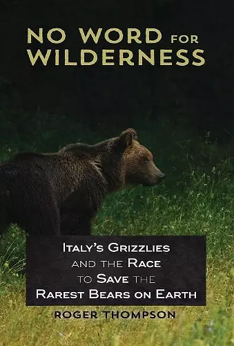 No Word for Wilderness cover