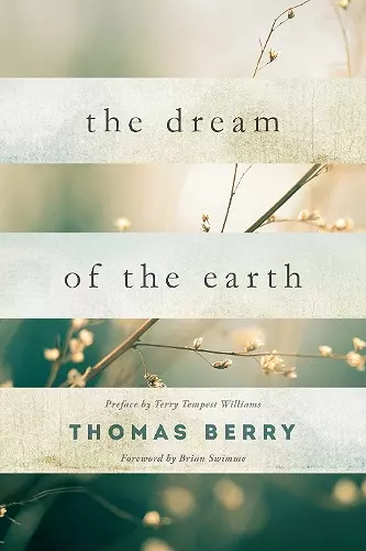 The Dream Of The Earth cover