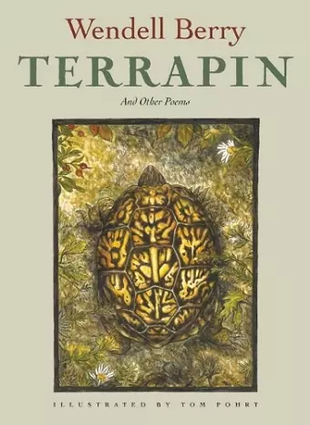 Terrapin cover