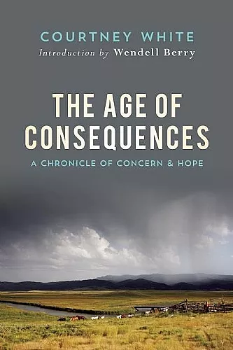 The Age Of Consequences cover