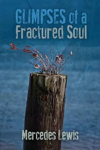 Glimpses of a Fractured Soul cover