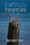 Glimpses of a Fractured Soul cover