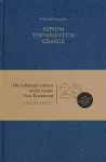 Novum Testamentum Graece-FL-Large Print cover