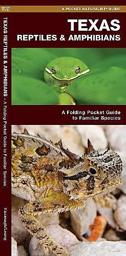 Texas Reptiles & Amphibians cover