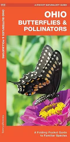 Ohio Butterflies & Pollinators cover