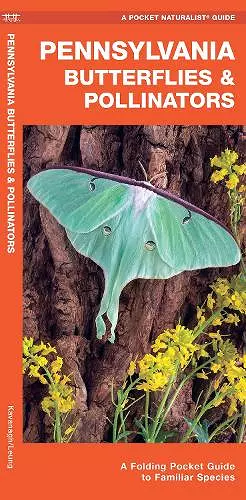 Pennsylvania Butterflies & Pollinators cover