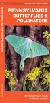 Pennsylvania Butterflies & Pollinators cover