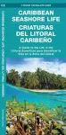 Caribbean Seashore Life (Criaturas del Litoral Caribeno) cover