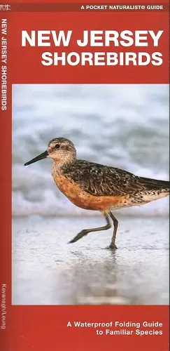 New Jersey Shorebirds cover