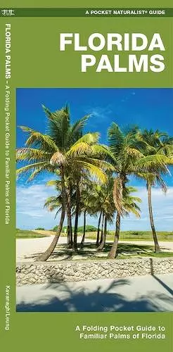 Florida Palms cover