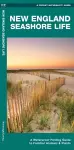 New England Seashore Life cover