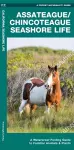 Assateague/Chincoteague Seashore Life, 2nd Ed cover