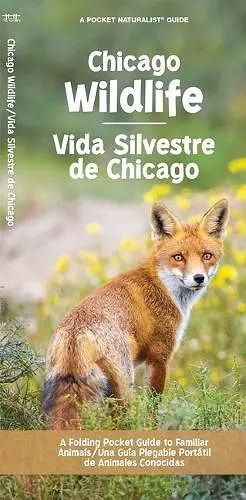 Chicago Wildlife/Vida Silvestre de Chicago cover