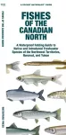 Fishes of the Canadian North cover
