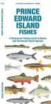 Prince Edward Island Fishes cover