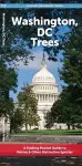 Washington, DC Trees cover