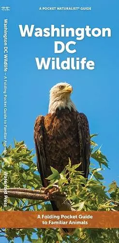 Washington DC Wildlife cover