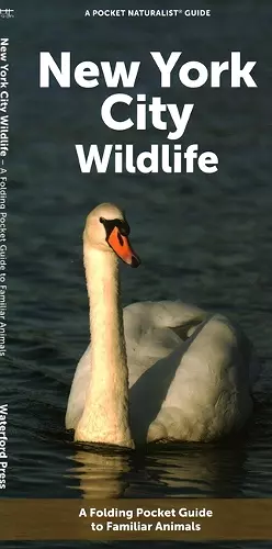 New York City Wildlife cover