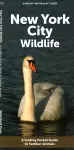 New York City Wildlife cover