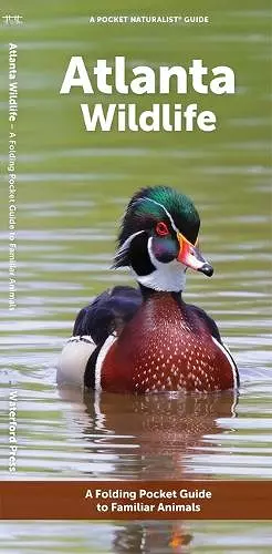 Atlanta Wildlife cover