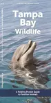 Tampa Bay Wildlife cover