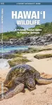 Hawai'i Wildlife, 2nd Ed cover