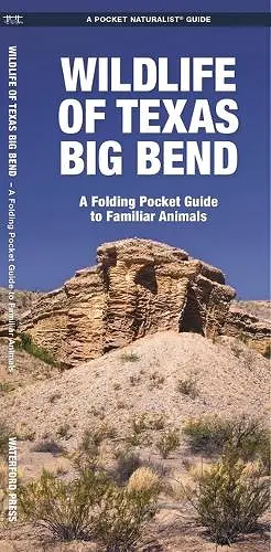 Texas Big Bend, Wildlife of cover