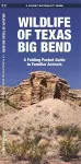 Texas Big Bend, Wildlife of cover