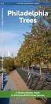 Philadelphia Trees cover