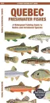 Quebec Freshwater Fishes cover