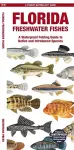 Florida Freshwater Fishes cover