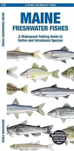 Maine Freshwater Fishes cover