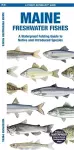 Maine Freshwater Fishes cover