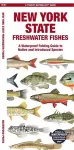 New York State Freshwater Fishes cover