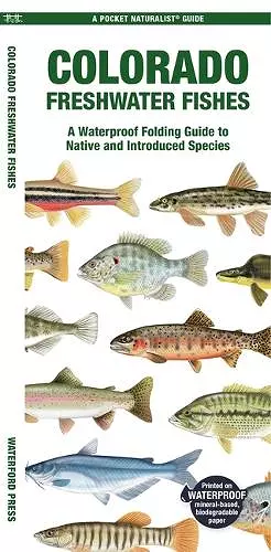 Colorado Freshwater Fishes cover