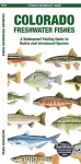 Colorado Freshwater Fishes cover