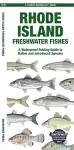 Rhode Island Freshwater Fishes cover