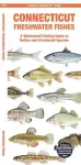 Connecticut Freshwater Fishes cover