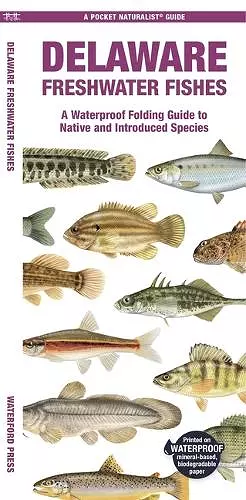 Delaware Freshwater Fishes cover