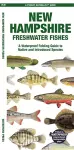 New Hampshire Freshwater Fishes cover