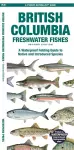 British Columbia Freshwater Fishes cover