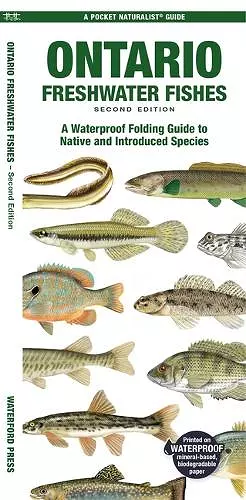 Ontario Freshwater Fishes cover