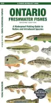 Ontario Freshwater Fishes cover