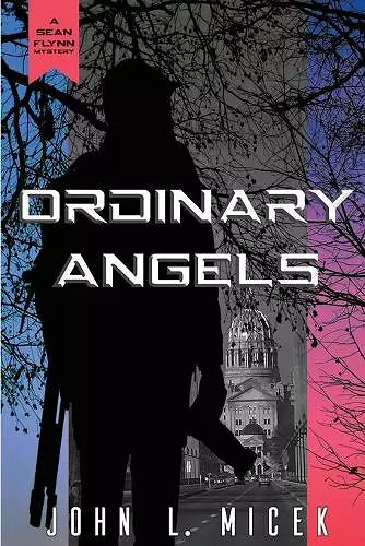 Ordinary Angels cover
