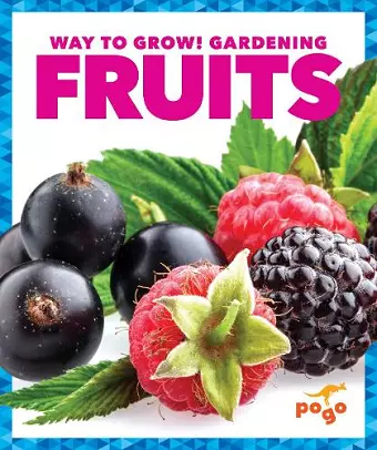 Fruits cover