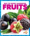 Fruits cover