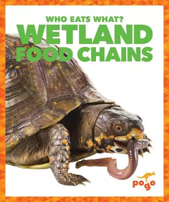 Wetland Food Chains cover