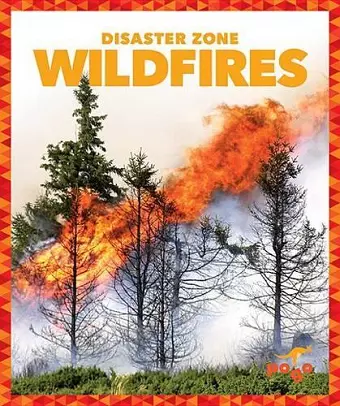 Wildfires cover